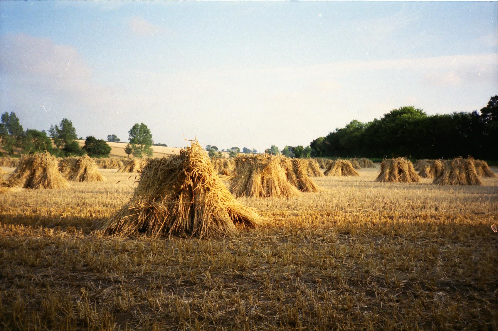 Haystacks