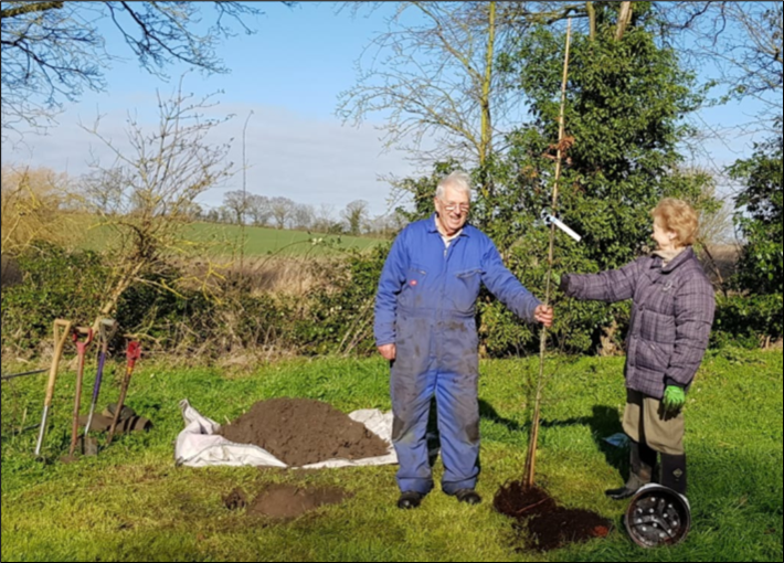 Planting of the Treebilee